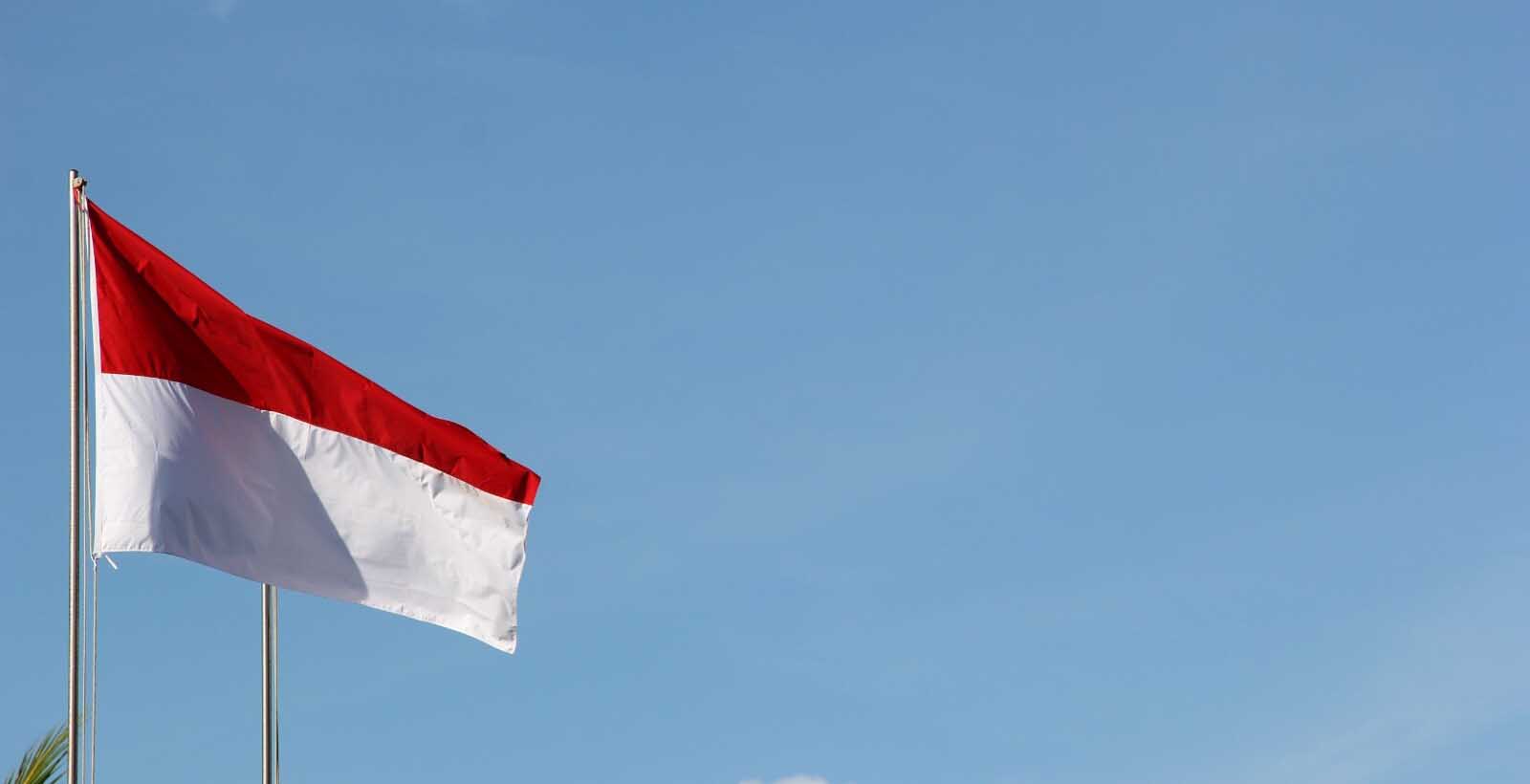 跨境热点：印尼或将禁止社交电商？独立站新机会来了？